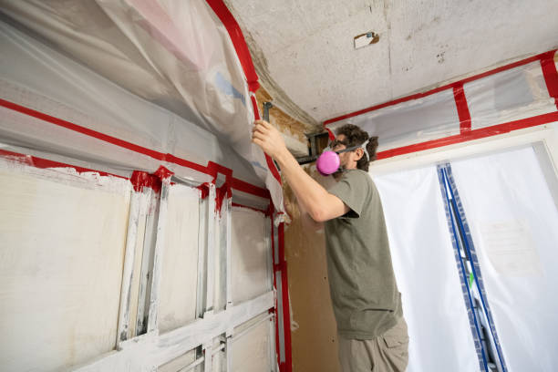 Best Mold-Related Health Consultation  in Mahopac, NY