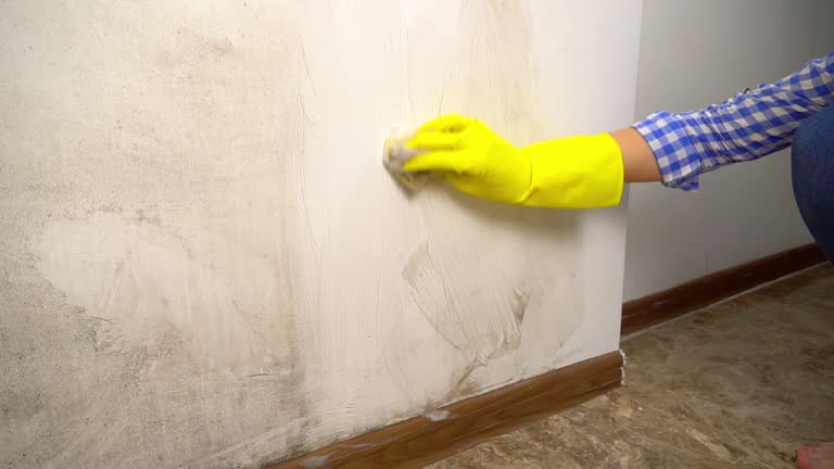 Best HVAC Mold Inspection and Cleaning  in Mahopac, NY