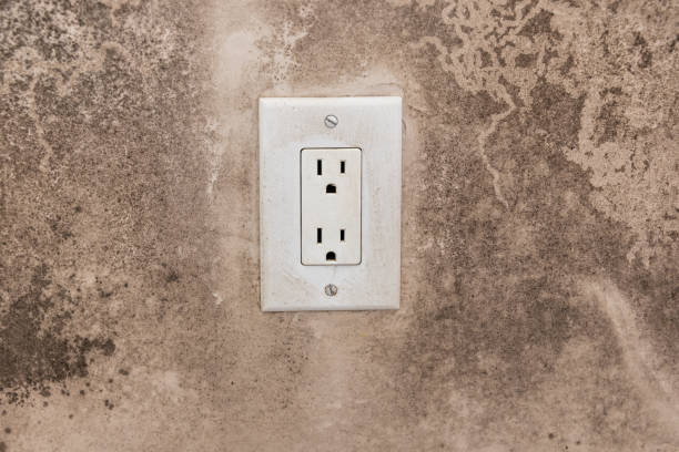 Mold Documentation for Insurance Claims in Mahopac, NY
